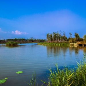 水生態(tài)治理技術(shù)及效果